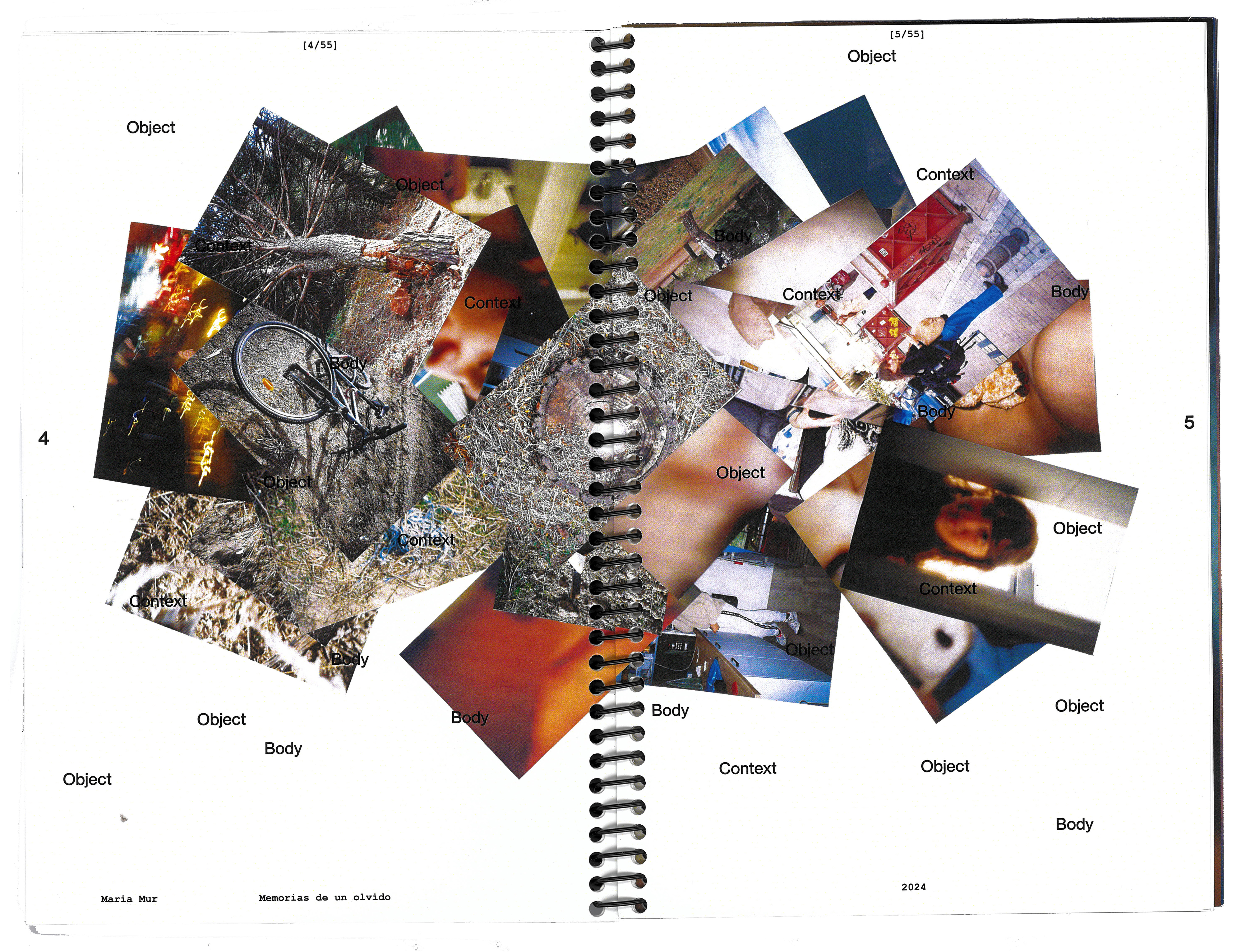 descripcion de las fotos