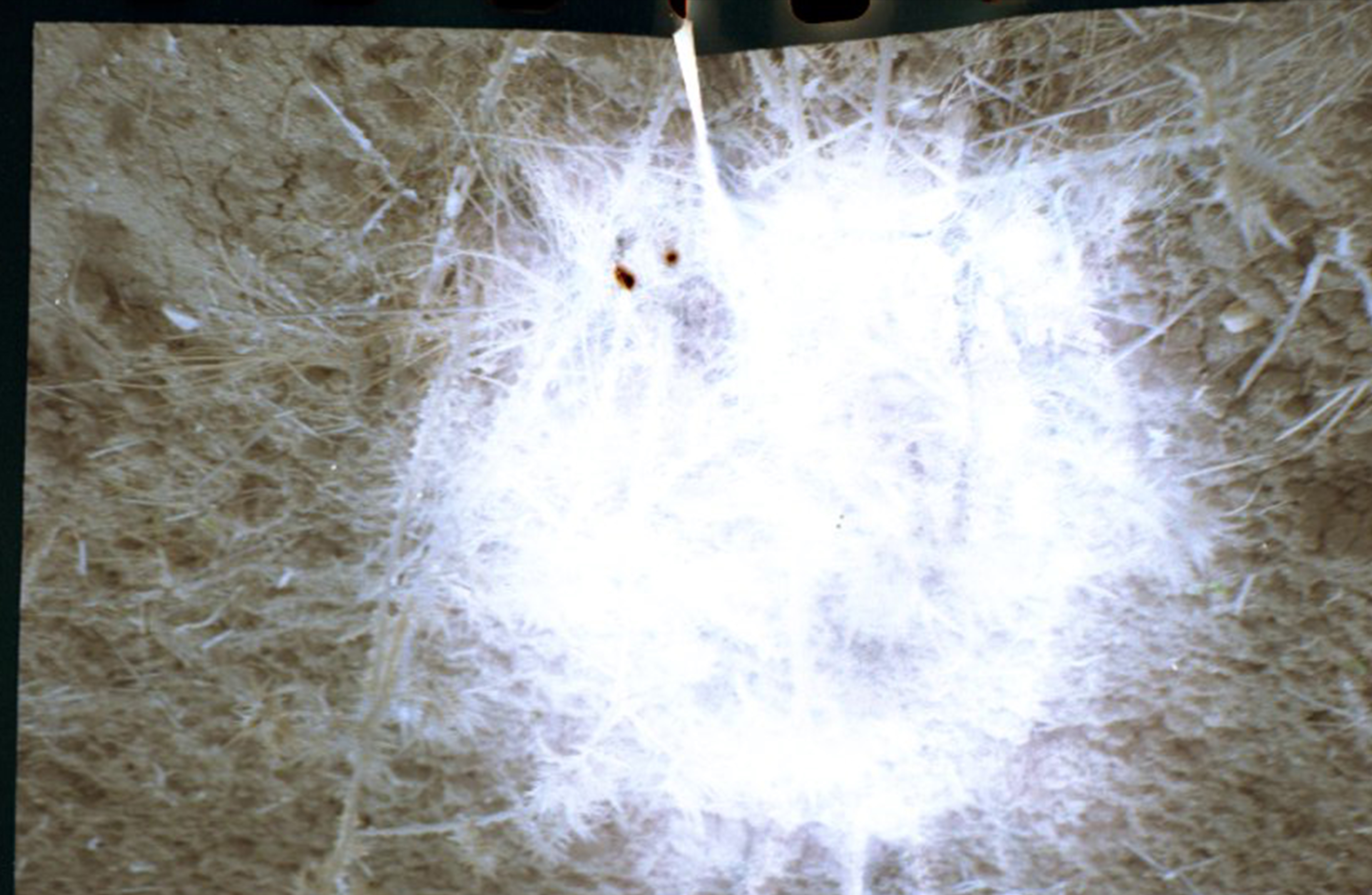 descripcion de las fotos