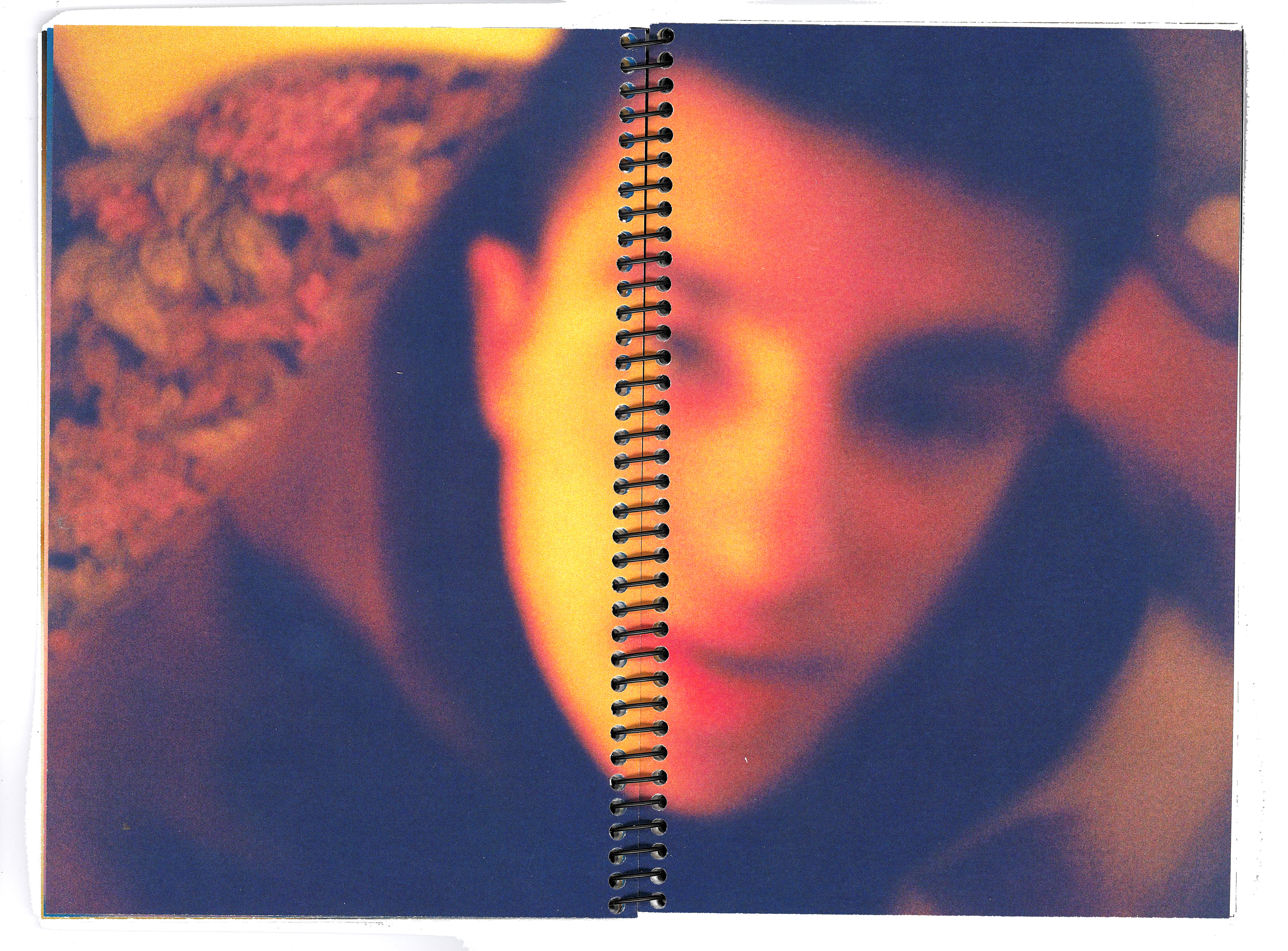 descripcion de las fotos